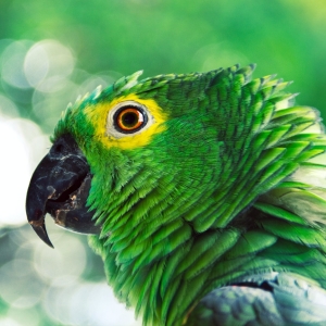 What is Lorem Ipsum? 3