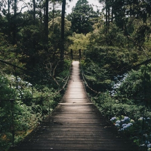 What is Lorem Ipsum? 5